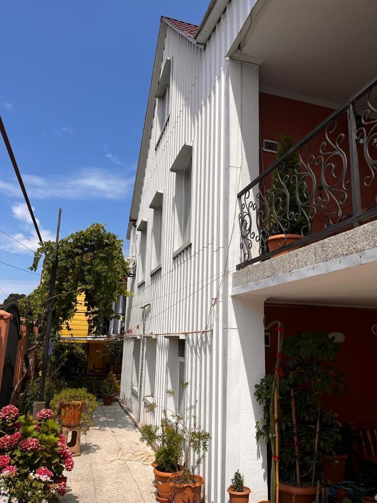 Guest House Chexovi 24 科布列季 外观 照片