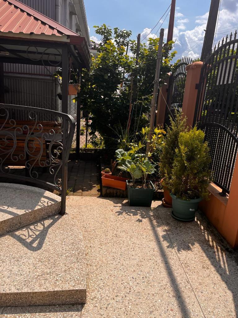 Guest House Chexovi 24 科布列季 外观 照片
